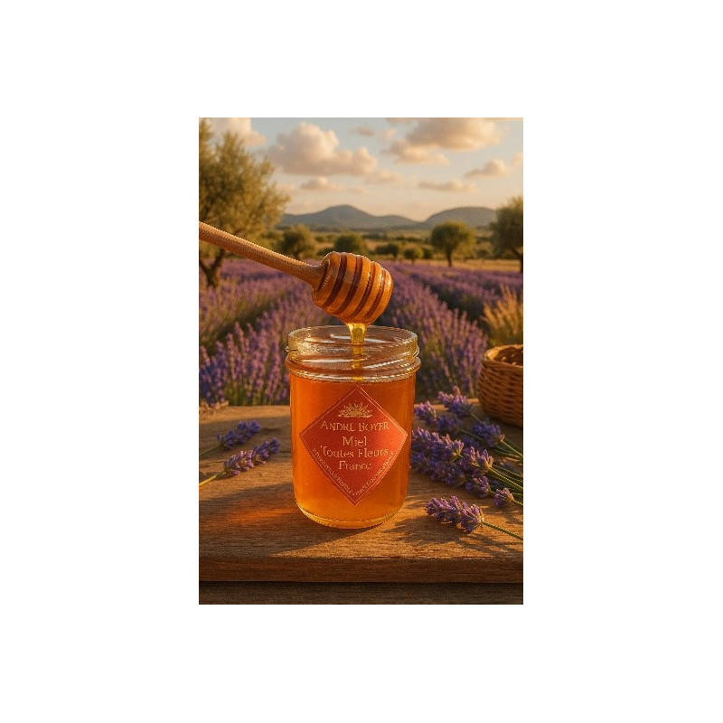 Miel toutes Fleurs France