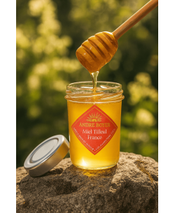 Lime blossom Honey France 2
