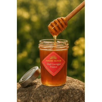 Honey from the Garrigue, France